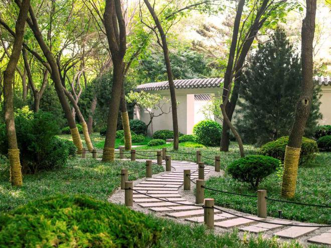 破土而出的景观设计(图7)