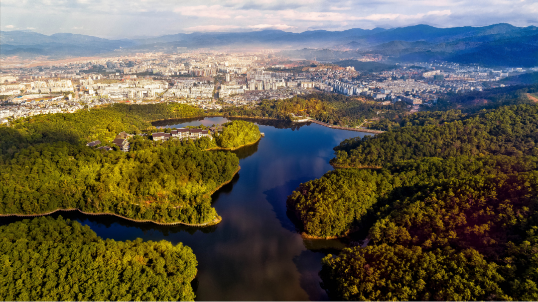 KAIYUN网页 开云com2023年云南省累计新增绿化面积430余万亩(图1)