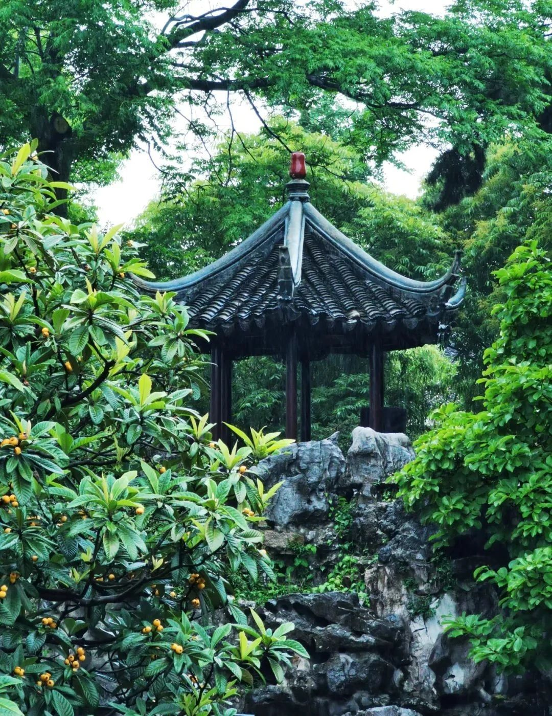 园林景观设计的九种方法 实战干货分享Kaiyun网址 开云(图14)
