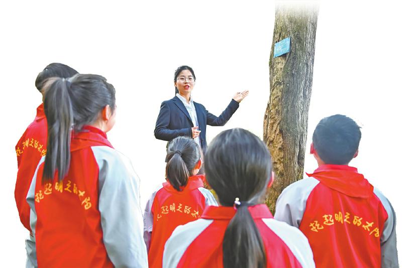 Kaiyun网址 开云2023年四川省国土绿化公报发布 数据解码四川“绿”意(图3)