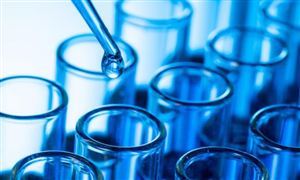 园林绿化工程投标策略 2023园林绿kaiyun开云官网化工程行业前景调查(图6)
